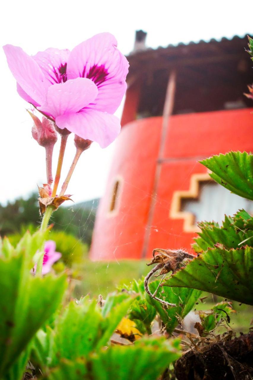 Samay Toa Hotel Otavalo Exterior photo